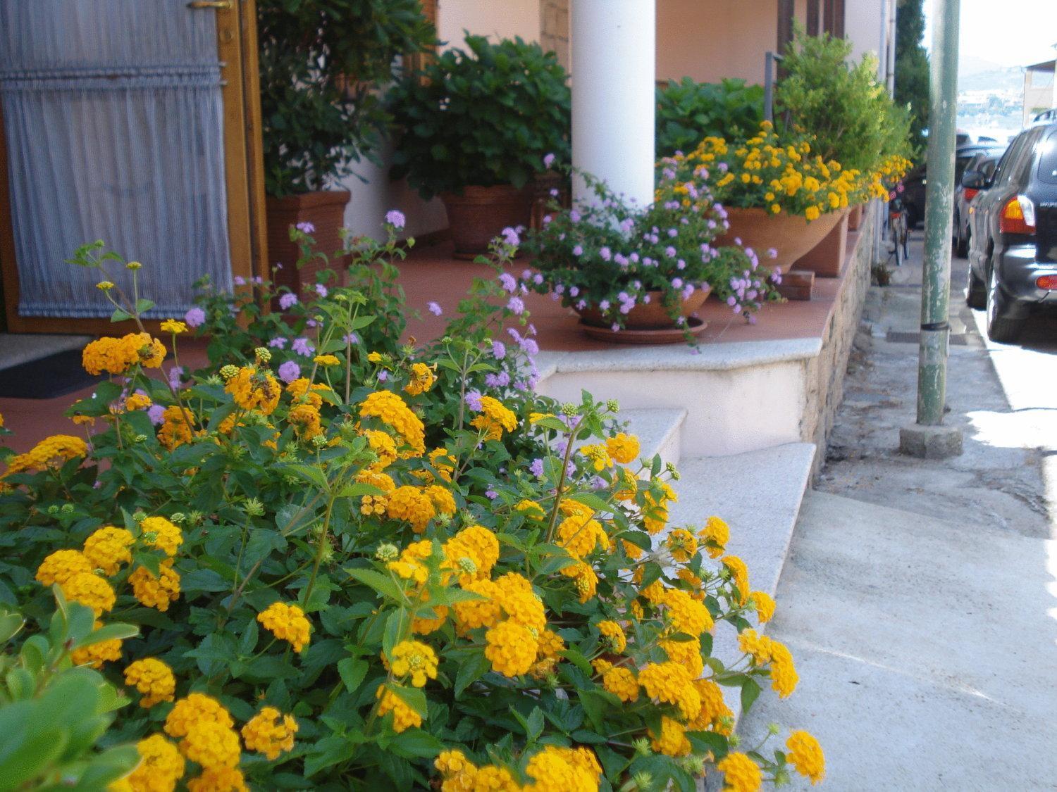 Hotel La Lampara Golfo Aranci Dış mekan fotoğraf