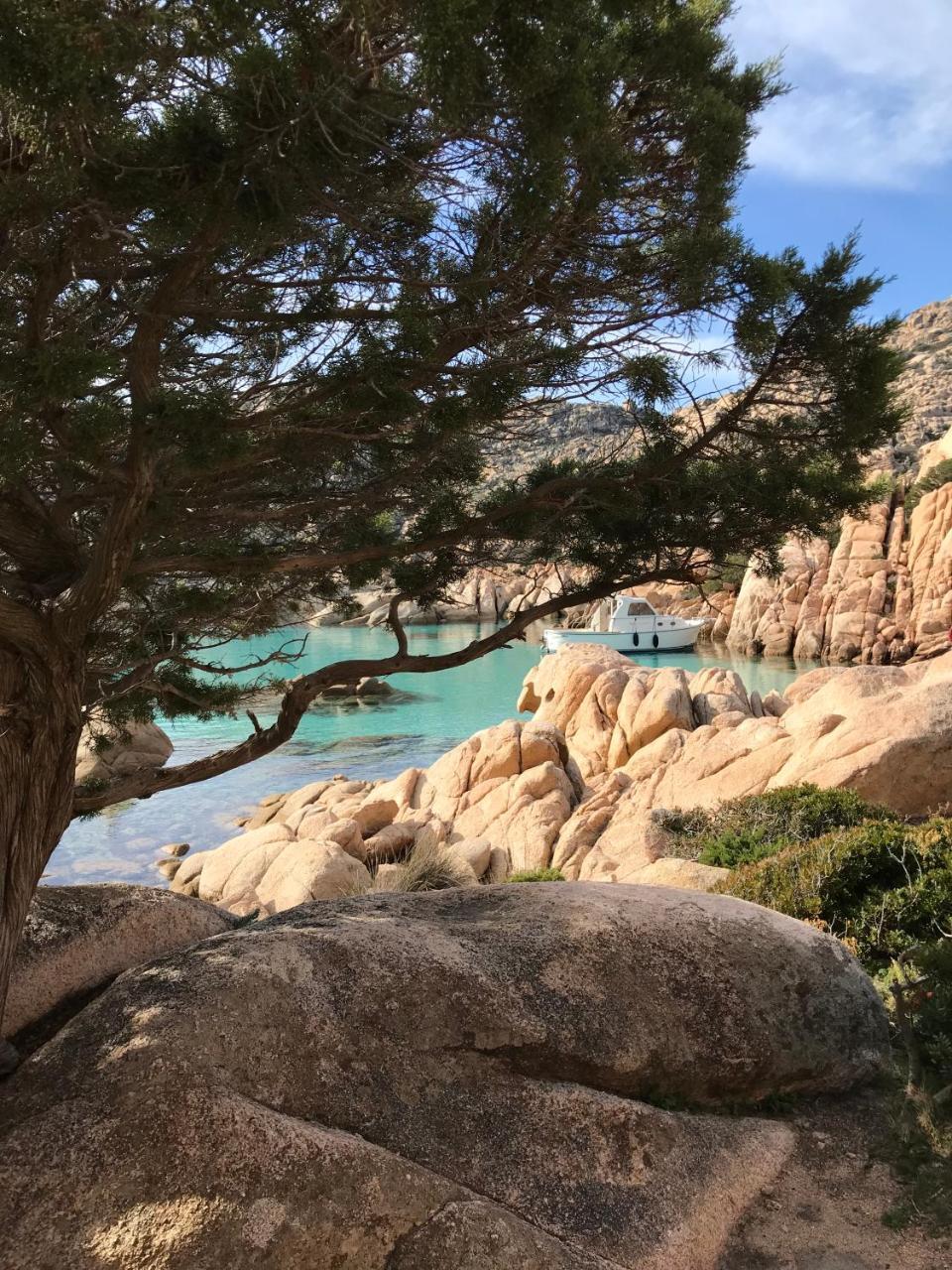 Hotel La Lampara Golfo Aranci Dış mekan fotoğraf